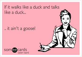 If It Walks Like A Duck And Talks Like A Duck It Ain T A Goose Funny Quotes About Life Funny Quotes Ecards Funny