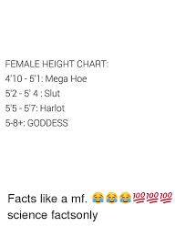 Female Height Chart 410 51 Mega Hoe 5 2 51 4 Slut 55 57
