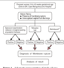 Image result for AmniSure ROM Test