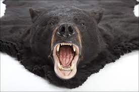 Fake bear rug with head. Faux Bear Skin Rug With Head Bear Skin Rug Bear Rug Animal Rug