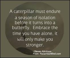 Quote catalog is the quote engine of the internet. Motivational Inspirational Quotes A Caterpillar Must Endure A Season Of Isolation Before It Turns Into A Butterfly Embrace The Time You Have Alone It Will Only Make You Stronger