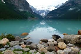 Weitere ideen zu alberta kanada, kanada, kanada reisen. Alberta Kanada Spezial