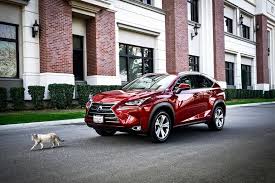 Image result for Molten 2017 NX