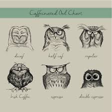 Owl Caffeine Level Chart Coffee Humor Desklabs Coworking