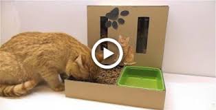Diy Cat Food Dispenser From Cardboard At Home Diy Cat Food Cat Feeder Diy Cat Diy