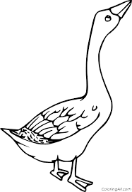 Enter youe email address to recevie coloring pages in your email daily! Walking Goose Coloring Page Coloringall