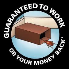 What kind of traps would you use to capture a sample of a pantry pest moth? Black Flag Roach Motel Glue Traps 2 Count Hg 11020 1 The Home Depot