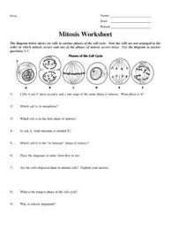 Meiosis worksheet with answers meiosis mitosis verb worksheets from 440 x 320 440 x 320 from meiosis worksheet answer key source. Sw Science 10 Unit 1 Mitosis Worksheet Mitosis Pdf4pro