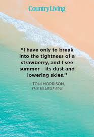 42 Best Summer Quotes Inspirational Warm Weather Sayings