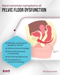 Image result for Pelvic Floor Dysfunction
