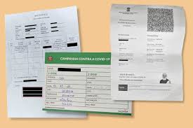 Medical test cost in the usa is about usd $350 per adult. Covid 19 Vaccine Passports Passes And Apps Around The Globe The New York Times
