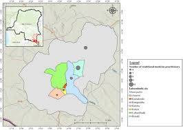 Image result for Xylopia katangensis