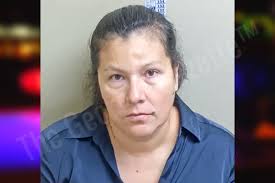 Maria Cambron-Boyzo — Gwinnett County Jail Bookings