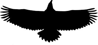 Eagle Clipart Silhouette Eagles are the large birds with heavy heads and beaks. eagle clipart silhouette