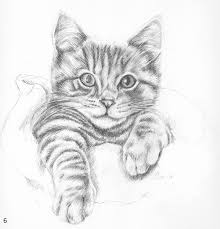 Pin By Figen Yesim Elci On Inspirational Art Animal Drawings Cat Drawing Simple Cat Drawing