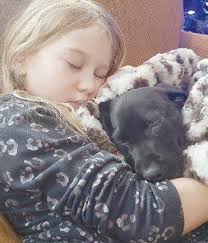 The Lowdown by Press Publications