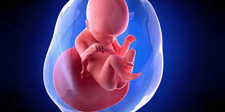 Wann platzt die fruchtblase ? Was Tun Wenn Die Fruchtblase Geplatzt Ist