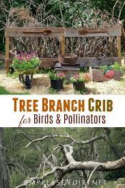 Make A Tree Branch Crib For A Beneficial Ecosystem Empress Of Dirt Wildlife Gardening Natural Garden Garden Design