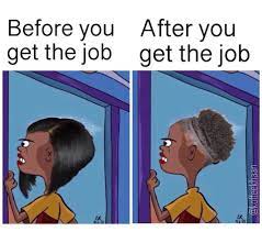 We did not find results for: Rolf Looking Out A Window Is Twitter S New Favorite Meme Twitter Quotes Funny Funny Relatable Memes Memes