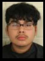 Rome Teen arrested for Animal Cruelty