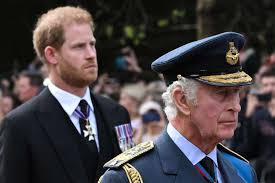 Prince Harry Reunites with King Charles for First Time in 19 Months