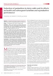 Pdf Induction Of Parturition In Dairy Cattle And Its Effects On Health And Subsequent Lactation And Reproductive Performance