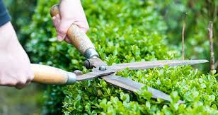 Snow removal, lawn maintenance, landscape, contractor, landscape designer. Lawn Maintenance Mr Chipper