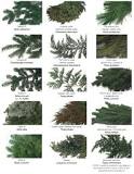 Image result