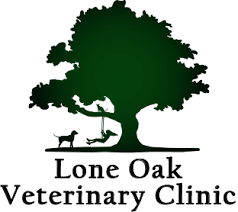 Santa rosa veterinary clinic, milton, fl. Autumn Davidson Dvm Veterinarian In Visalia Ca