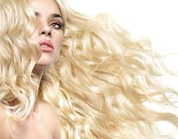 Proud makers of dreamweaver, qutix, ego, pose, ikon, and more. Blonde Models Bookmodels Com The Modeling Platform