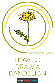 Botanical drawings botanical art botanical illustration illustration art line flower flower art plant drawing painting & drawing drawing sketches. How To Draw A Dandelion Really Easy Drawing Tutorial