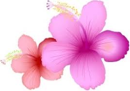 Download Hibiscus Free Vector Download 58 Free Vector For Commercial Use Format Ai Eps Cdr Svg Vector Illustration Graphic Art Design