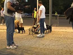 58,217 likes · 789 talking about this · 4 were here. Kcreuqpdjclz M