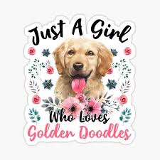 Funny, cool, or just plain weird, you'll find the socks your feet deserve. Who Love Doodles Gifts Merchandise Redbubble