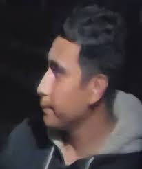 Stolen cat in Maple Falls, Washington, seeking return