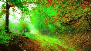 Morning Nature Green Screen Free Backgrounds Motion Background Hd 1080p Natural Color Version Youtube Collection by actionphotobooths amsterdam ny. morning nature green screen free backgrounds motion background hd 1080p natural color version