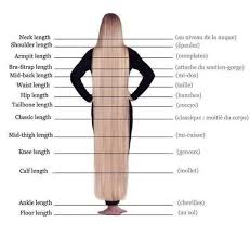 Handmade Cornrow Braid Wig Handmade Braided Wig Braid Wig Etsy In 2021 Hair Chart Hair Growth Charts Long Hair Styles