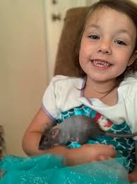 Bewitched Rattery page owner introduction