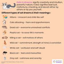 Dreaming Of Cats 37 Types Of Dreams Its Interpretations