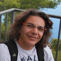 PDF) Cessation of annular Poiseuille flows of Bingham plastics