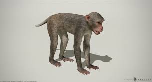 Rhesus Macaque 3d Monkey Pbr 3d Model Rhesus Macaque Macaque Macaque Monkey