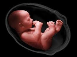 Tahap perkembangan bayi yang pertama bisa dilihat ketika usianya baru menginjak usia satu minggu hingga tiga bulan. Bayi Dalam Kandungan Usia 7 Bulan Hilang Whaaaat Page 2 Kaskus