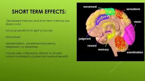 As a matter of fact, occupational stress has.paper is to look at stress in the workplace and its effects on family, medical and work effectiveness. Physical Psychological And Occupational Consequences Of Job Burnout A Systematic Review Of Prospec School Stress Effects Of Stress Work Related Stress