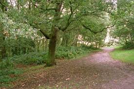 Rachel nickell was walking on wimbledon common when she was stabbed 49 times and sexually assaulted in front of her toddler son in 1992. Rachel Nickell Killer Hid In Plain Sight For 12 Years After Murdering Her In Front Of Son Mirror Online