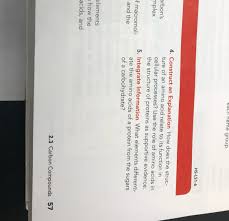 Add biuret solution a to a solution of the food being tested and mix carefully. I Need Help With 4 Amp 5 Also How Do Chemical Properties Of Lipids Nucleic Acids And Proteins Differ Brainly Com