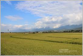 卓富公路 花75線 2019 11 50 jpg farmland formosa outdoor