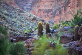 Rd.com knowledge facts nope, it's not the president who appears on the $5 bill. Commonly Asked Questions Grand Canyon Expeditions