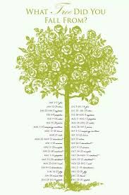 What Tree You Fell From Celtic Tree Astrology Celtic Tree Tree