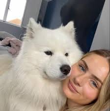 🇯🇵 TODAY: Japan's Financial Services Agency has proposed classifying  crypto under the Financial Instruments and Exchange Act. A major shift that  could legalize Bitcoin ETFs and replace the current 55% progressive tax