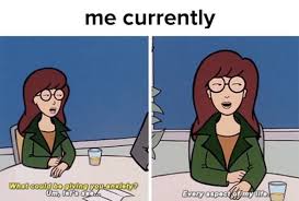 But.he just made me as a dog following for. Making Us Laugh This Week 15 Anxiety Memes That Are Us